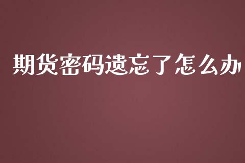 期货密码遗忘了怎么办_https://wap.langutaoci.com_货币市场_第1张