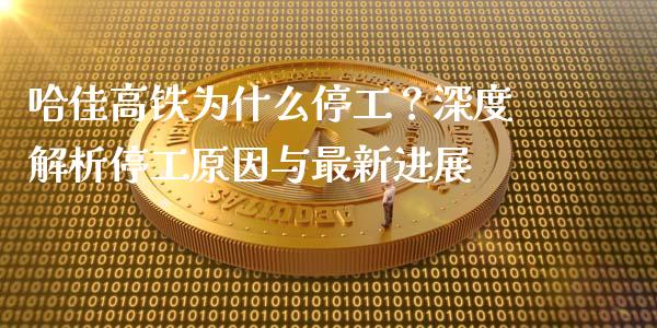 哈佳高铁为什么停工？深度解析停工原因与最新进展_https://wap.langutaoci.com_外汇论坛_第1张