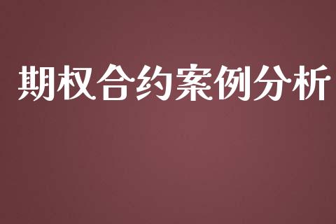 期权合约案例分析_https://wap.langutaoci.com_金融服务_第1张