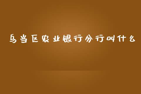 乌当区农业银行分行叫什么_https://wap.langutaoci.com_货币市场_第1张