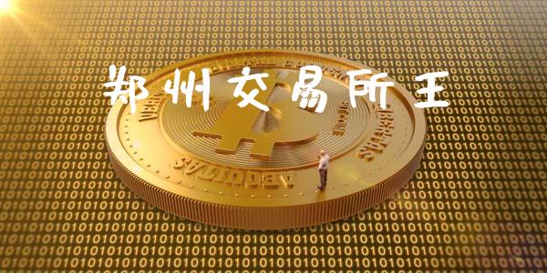 郑州交易所王_https://wap.langutaoci.com_今日财经_第1张