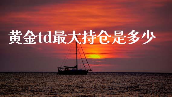 黄金td最大持仓是多少_https://wap.langutaoci.com_今日财经_第1张