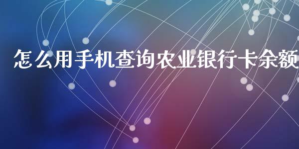 怎么用手机查询农业银行卡余额_https://wap.langutaoci.com_货币市场_第1张