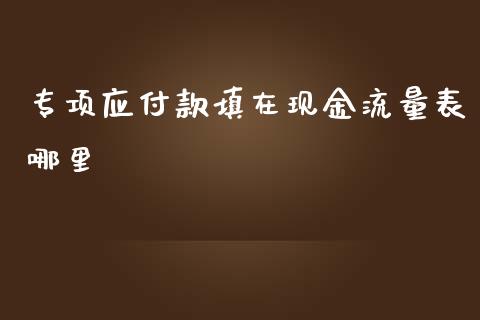 专项应付款填在现金流量表哪里_https://wap.langutaoci.com_金融服务_第1张