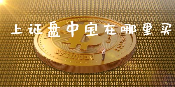 上证盘中宝在哪里买_https://wap.langutaoci.com_今日财经_第1张