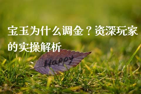 宝玉为什么调金？资深玩家的实操解析_https://wap.langutaoci.com_债券基金_第1张