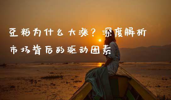 豆粕为什么大涨？深度解析市场背后的驱动因素_https://wap.langutaoci.com_外汇论坛_第1张