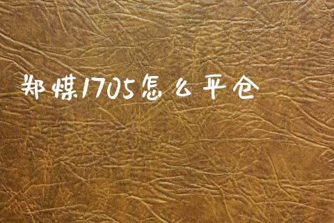 郑煤1705怎么平仓_https://wap.langutaoci.com_金融服务_第1张