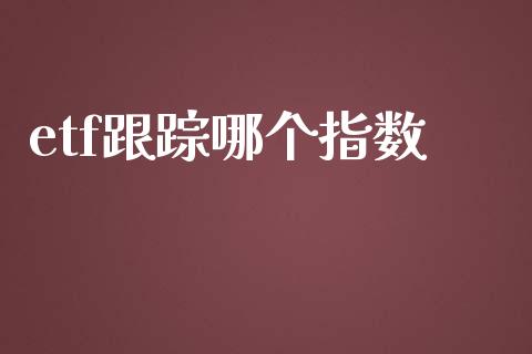 etf跟踪哪个指数_https://wap.langutaoci.com_货币市场_第1张