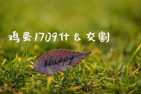 鸡蛋1709什么交割_https://wap.langutaoci.com_债券基金_第1张