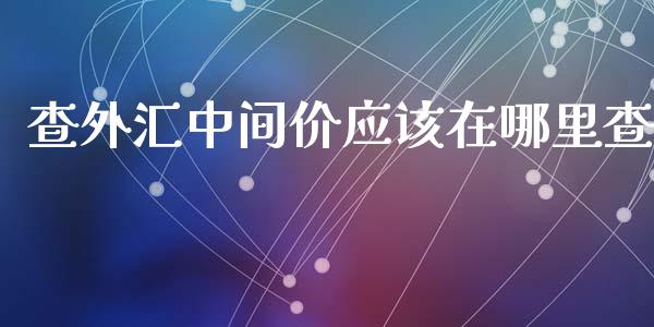 查外汇中间价应该在哪里查_https://wap.langutaoci.com_货币市场_第1张