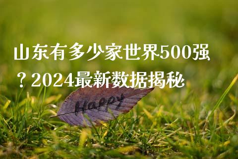 山东有多少家世界500强？2024最新数据揭秘_https://wap.langutaoci.com_债券基金_第1张