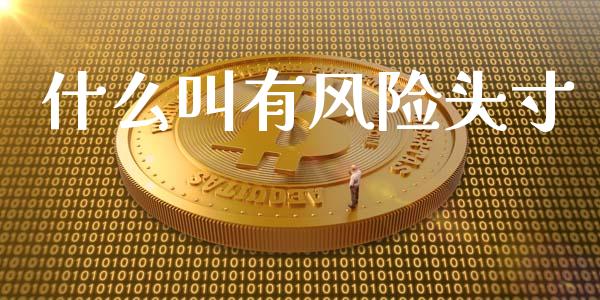 什么叫有风险头寸_https://wap.langutaoci.com_金融服务_第1张