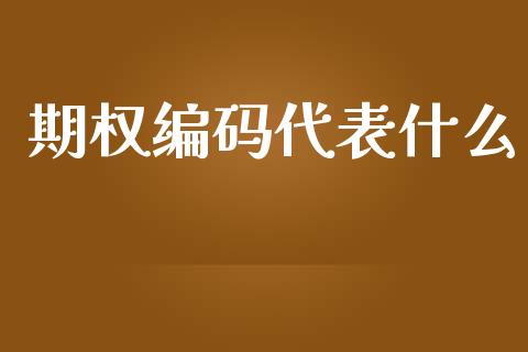 期权编码代表什么_https://wap.langutaoci.com_外汇论坛_第1张