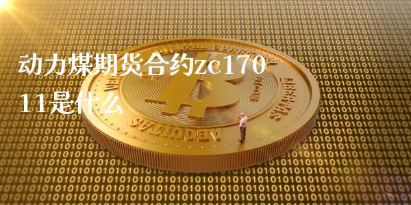 动力煤期货合约zc17011是什么_https://wap.langutaoci.com_今日财经_第1张