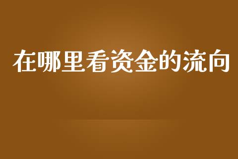 在哪里看资金的流向_https://wap.langutaoci.com_金融服务_第1张