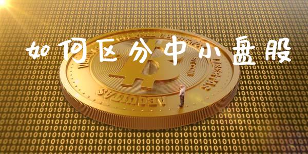 如何区分中小盘股_https://wap.langutaoci.com_货币市场_第1张