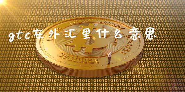 gtc在外汇里什么意思_https://wap.langutaoci.com_债券基金_第1张