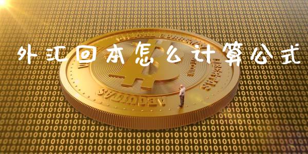 外汇回本怎么计算公式_https://wap.langutaoci.com_金融服务_第1张