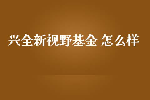 兴全新视野基金 怎么样_https://wap.langutaoci.com_外汇论坛_第1张