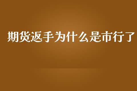 期货返手为什么是市行了_https://wap.langutaoci.com_债券基金_第1张