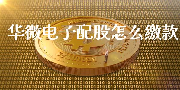 华微电子配股怎么缴款_https://wap.langutaoci.com_外汇论坛_第1张