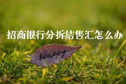 招商银行分拆结售汇怎么办_https://wap.langutaoci.com_货币市场_第1张