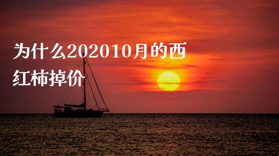 为什么202010月的西红柿掉价_https://wap.langutaoci.com_今日财经_第1张