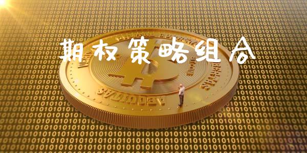 期权策略组合_https://wap.langutaoci.com_今日财经_第1张