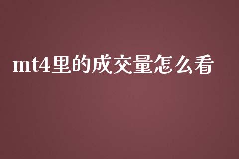 mt4里的成交量怎么看_https://wap.langutaoci.com_今日财经_第1张