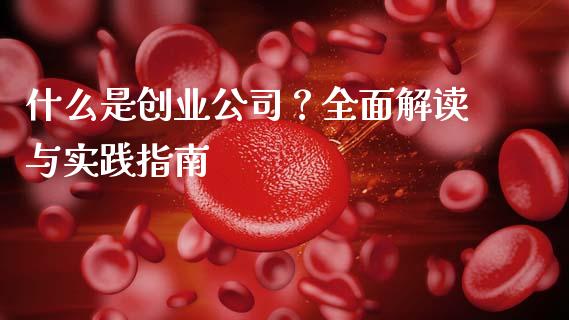 什么是创业公司？全面解读与实践指南_https://wap.langutaoci.com_债券基金_第1张