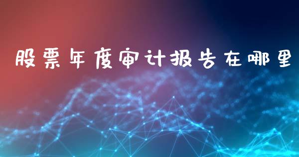 股票年度审计报告在哪里_https://wap.langutaoci.com_金融服务_第1张