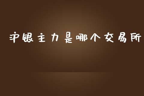 沪银主力是哪个交易所_https://wap.langutaoci.com_金融服务_第1张