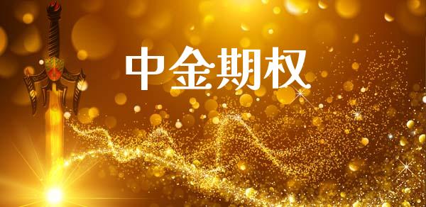 中金期权_https://wap.langutaoci.com_债券基金_第1张