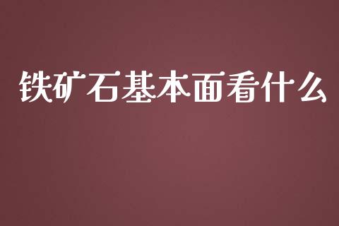 铁矿石基本面看什么_https://wap.langutaoci.com_金融服务_第1张