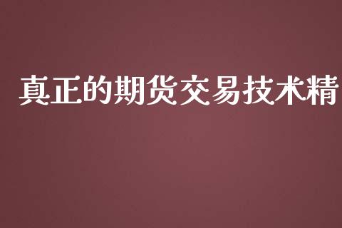 真正的期货交易技术精_https://wap.langutaoci.com_债券基金_第1张