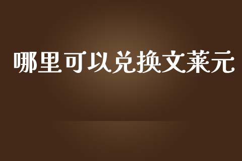 哪里可以兑换文莱元_https://wap.langutaoci.com_期货行情_第1张