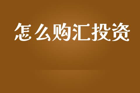 怎么购汇投资_https://wap.langutaoci.com_债券基金_第1张