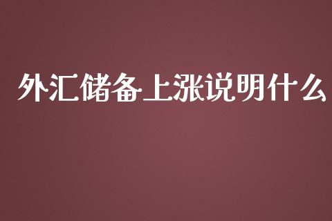 外汇储备上涨说明什么_https://wap.langutaoci.com_今日财经_第1张