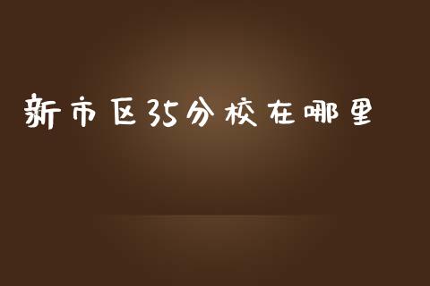 新市区35分校在哪里_https://wap.langutaoci.com_金融服务_第1张