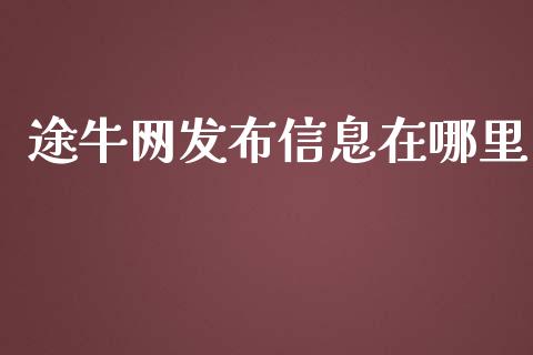 途牛网发布信息在哪里_https://wap.langutaoci.com_债券基金_第1张