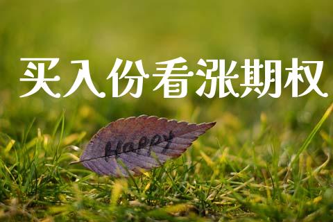 买入份看涨期权_https://wap.langutaoci.com_期货行情_第1张