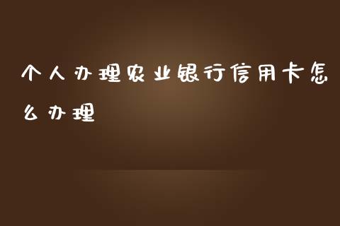 个人办理农业银行信用卡怎么办理_https://wap.langutaoci.com_债券基金_第1张