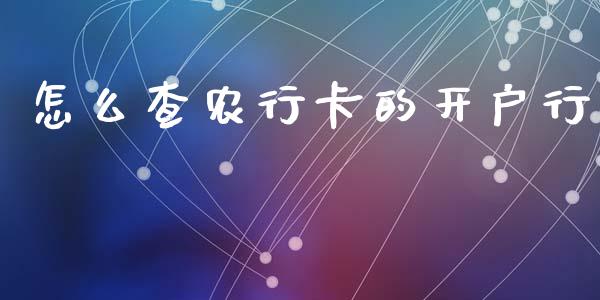 怎么查农行卡的开户行_https://wap.langutaoci.com_货币市场_第1张