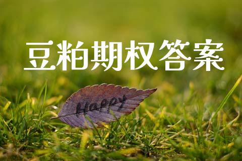 豆粕期权答案_https://wap.langutaoci.com_货币市场_第1张