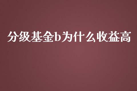 分级基金b为什么收益高_https://wap.langutaoci.com_货币市场_第1张