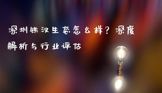 深圳铁汉生态怎么样？深度解析与行业评估_https://wap.langutaoci.com_金融服务_第1张