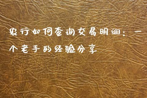 农行如何查询交易明细：一个老手的经验分享_https://wap.langutaoci.com_债券基金_第1张