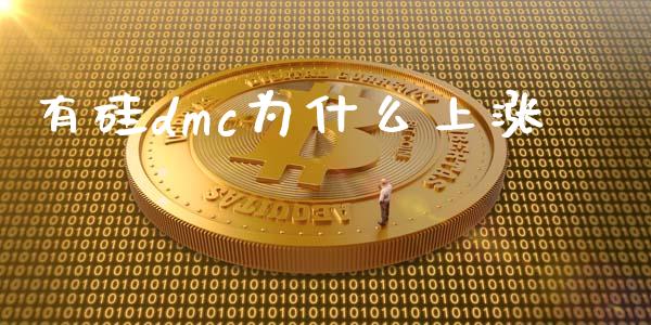 有硅dmc为什么上涨_https://wap.langutaoci.com_债券基金_第1张