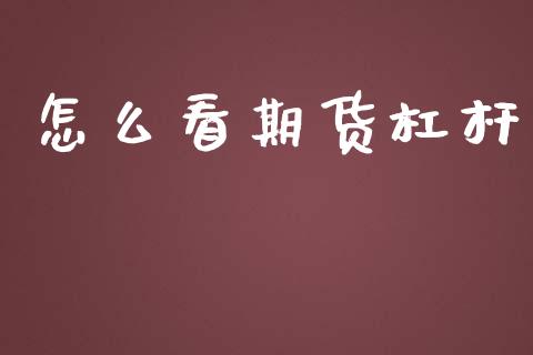 怎么看期货杠杆_https://wap.langutaoci.com_金融服务_第1张